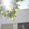Restaurant-pavillon-goth-zemanova-kavarna 11